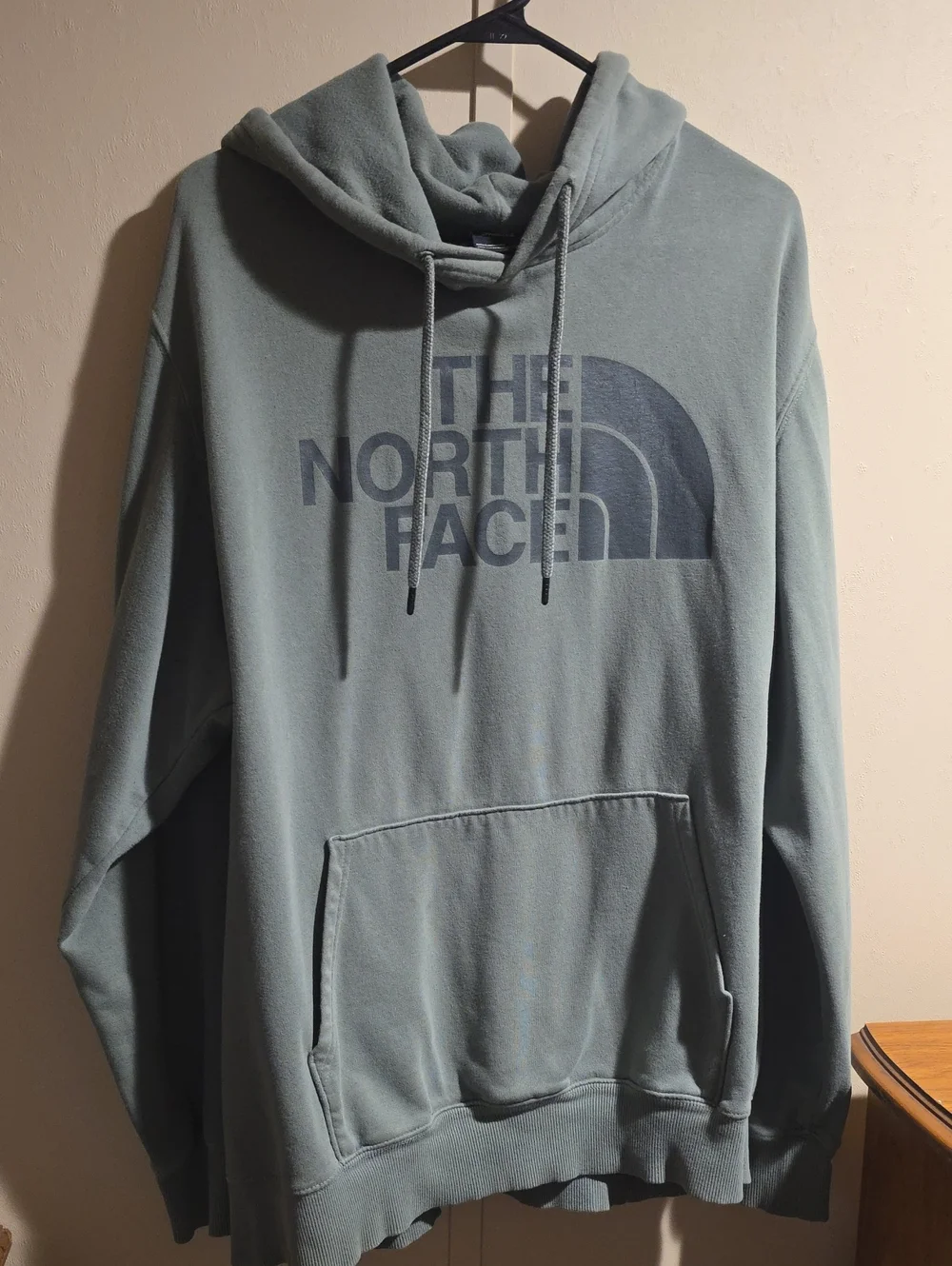 The North Face Pullover Hoodie in Sage Blue-Green with Logo